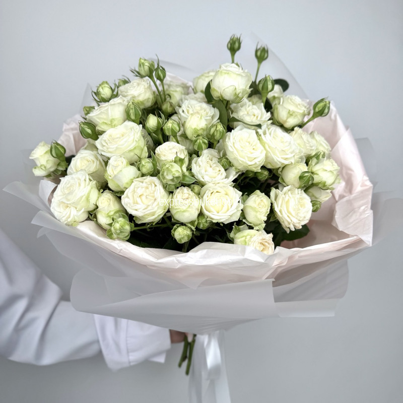 Утренние розы