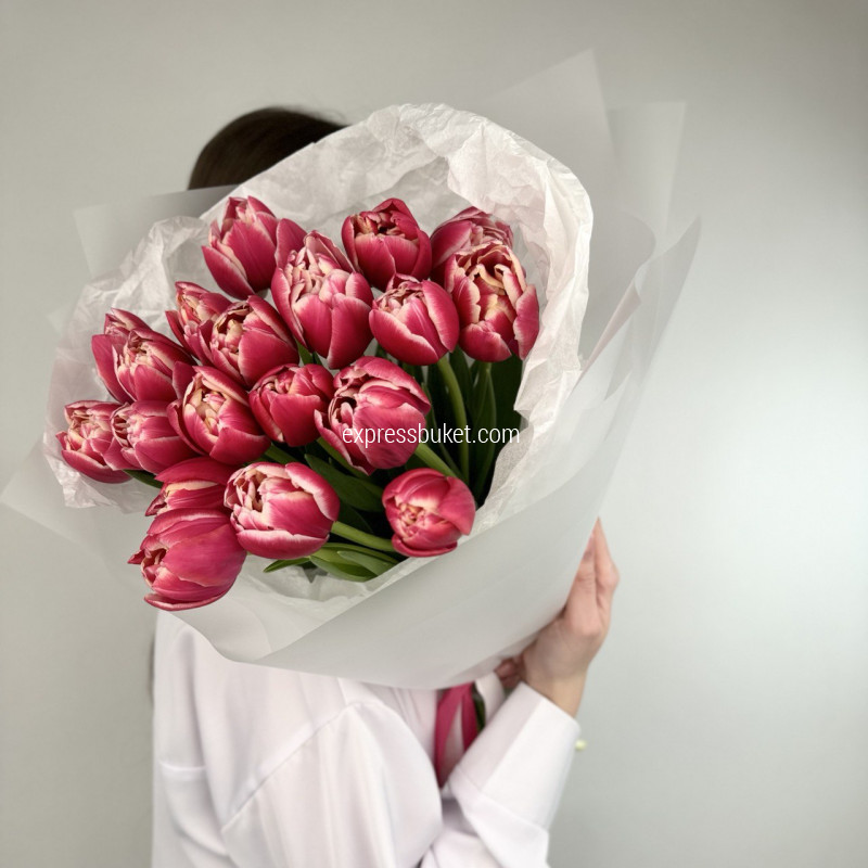 Весенний Этюд тюльпанов