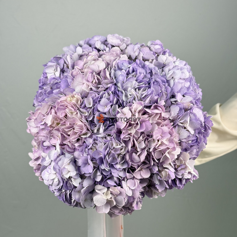 Букет из 15 гортензий