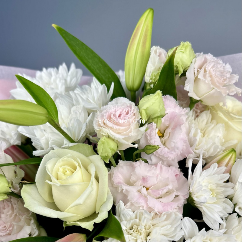 Нежные мотивы