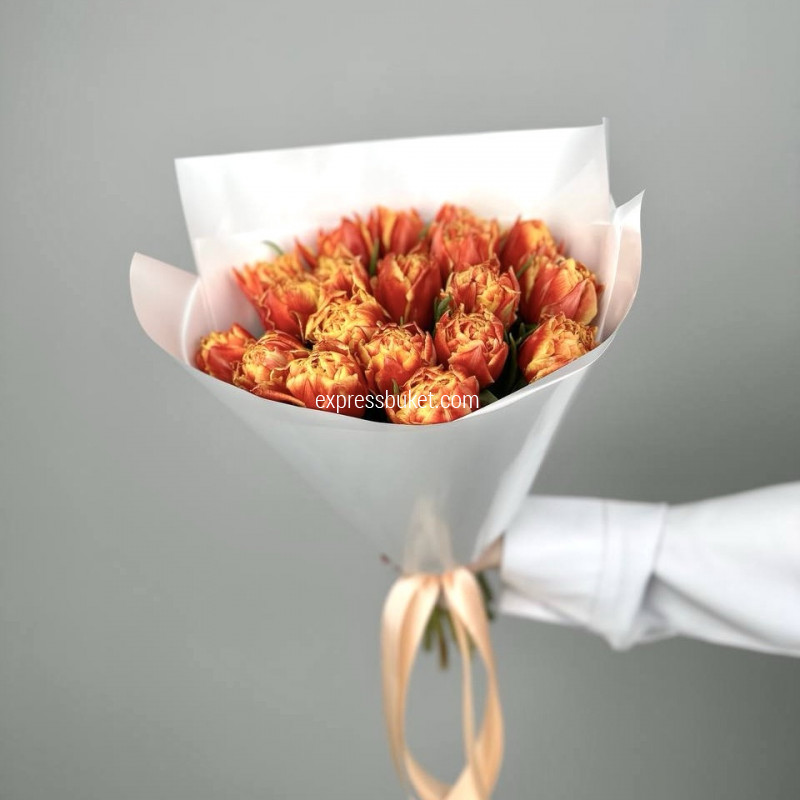 Тюльпановая нежность